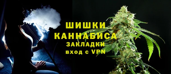 ГАЛЛЮЦИНОГЕННЫЕ ГРИБЫ Кодинск
