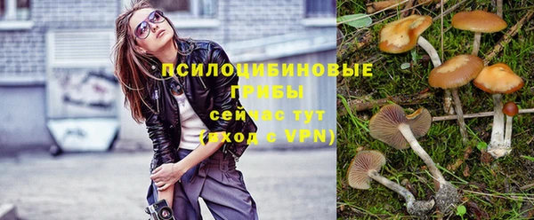 мет Козловка
