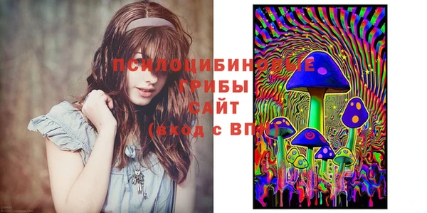 мет Козловка