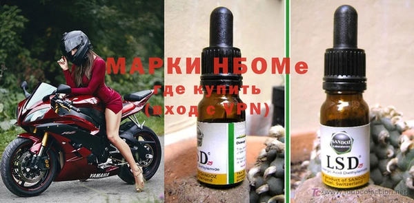 ГАЛЛЮЦИНОГЕННЫЕ ГРИБЫ Кодинск