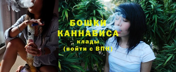ГАЛЛЮЦИНОГЕННЫЕ ГРИБЫ Кодинск