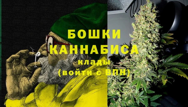 ГАЛЛЮЦИНОГЕННЫЕ ГРИБЫ Кодинск