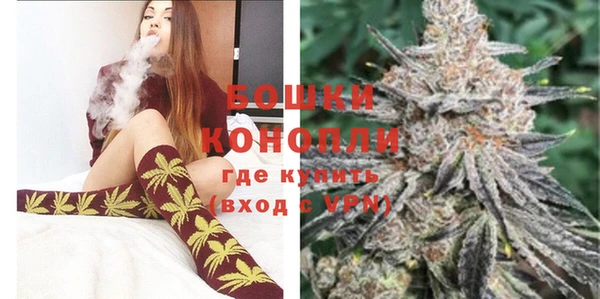 ГАЛЛЮЦИНОГЕННЫЕ ГРИБЫ Кодинск