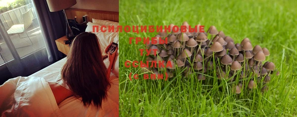 мет Козловка