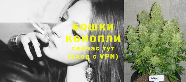 ГАЛЛЮЦИНОГЕННЫЕ ГРИБЫ Кодинск