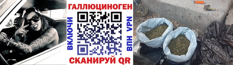 Галлюциногенные грибы ЛСД  где купить наркотик  Яранск 